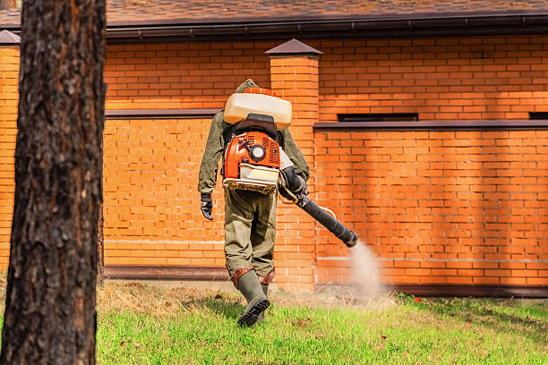Top rated local Wasp Removal specialists in Port Charlotte, FL